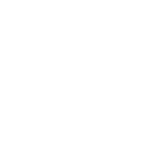 Logo Ouisnap version blanche fond transparent
